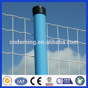 PVC recouvert Euro Type Iron Welded Holland Fence Wire Mesh